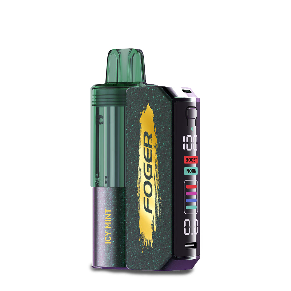 Foger Switch Pro 30K Disposable Vape Kit