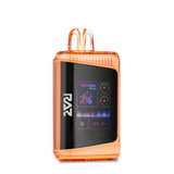 RAZ LTX 25000 Disposable Vape